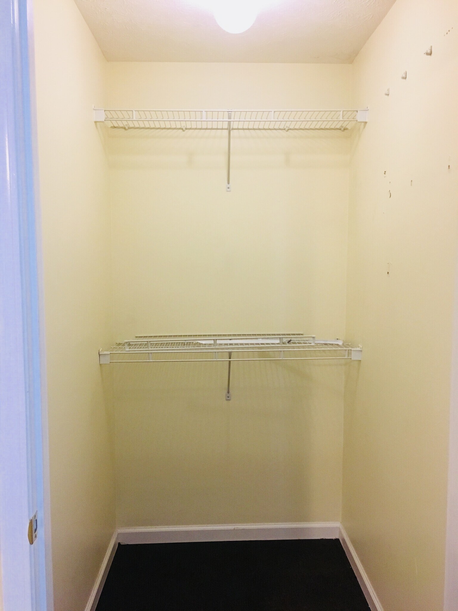 Building Photo - 5022 Lea Ann Way