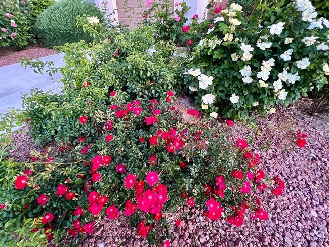 Building Photo - Stunning single-story home in picturesque community!