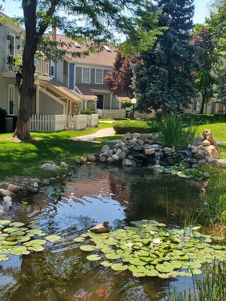 Pond - 1432 W Telegraph Hill Dr
