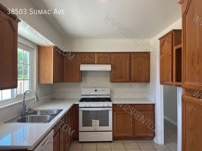 Building Photo - 38503 Sumac Ave
