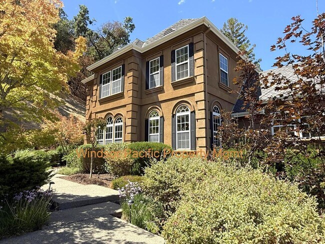 Building Photo - NEW PRICE ! Westside Alamo Custom Estate W...