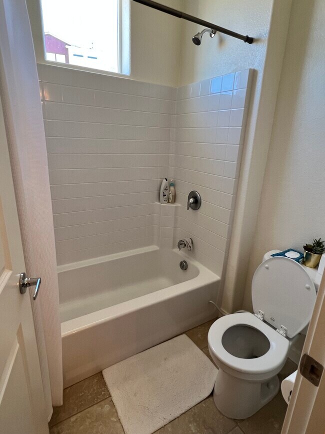 Bathroom 2 - 4711 Falcon Rock Ln