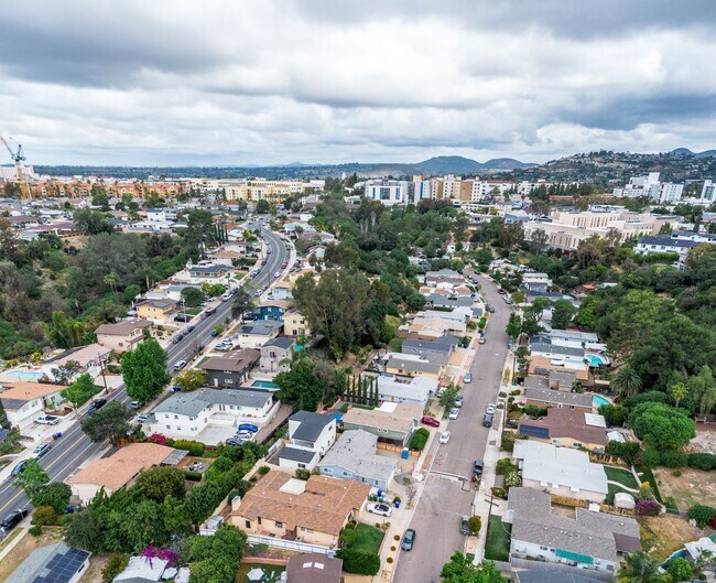 Building Photo - Private rooftop deck!