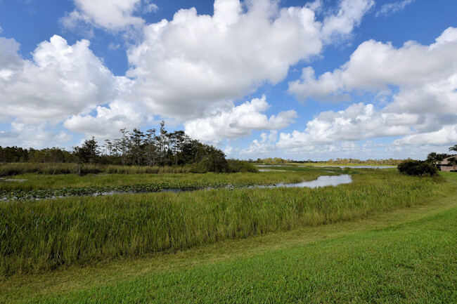 Building Photo - 802 Sabal Palm Ln