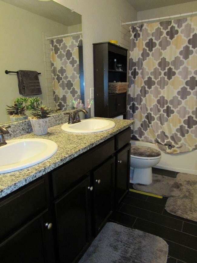 Building Photo - Stunning Longmont home