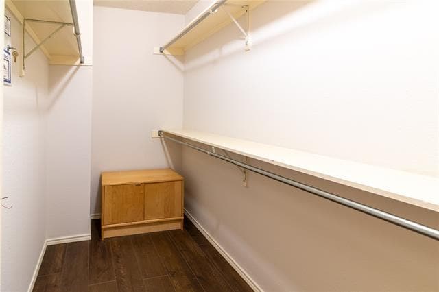 Building Photo - 1705 Kingston Ln