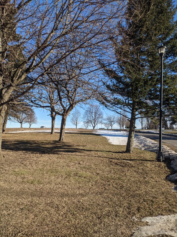 Building Photo - 56 Liberty St