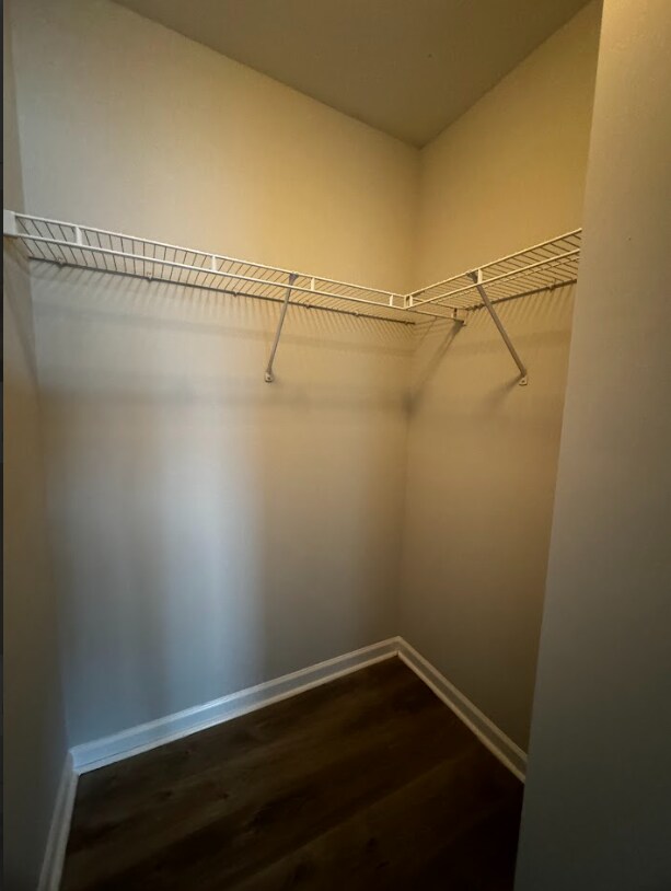 Building Photo - Modern Living Meets Southern Charm – Spaci...