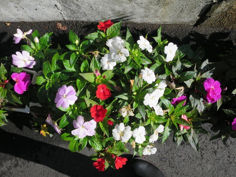 Building Photo - 21 Franklin St