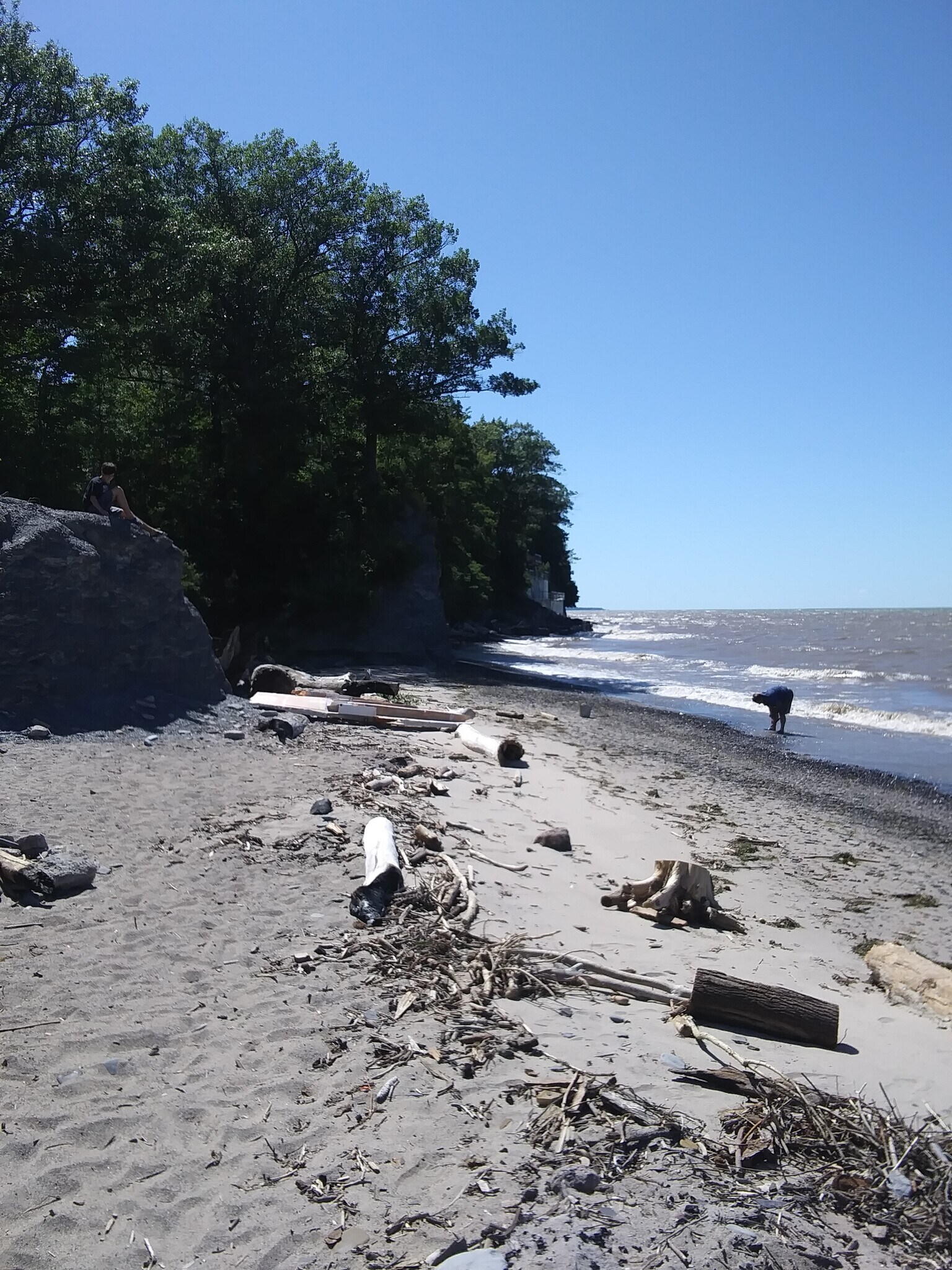 Building Photo - 4778 Rogers Rd