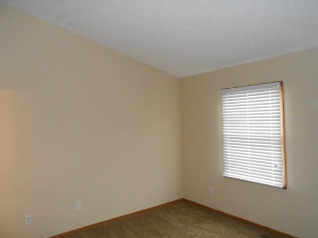 Building Photo - 5208 Upland Meadow Dr