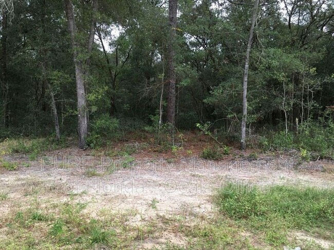 Building Photo - 2581 W Castania Dr