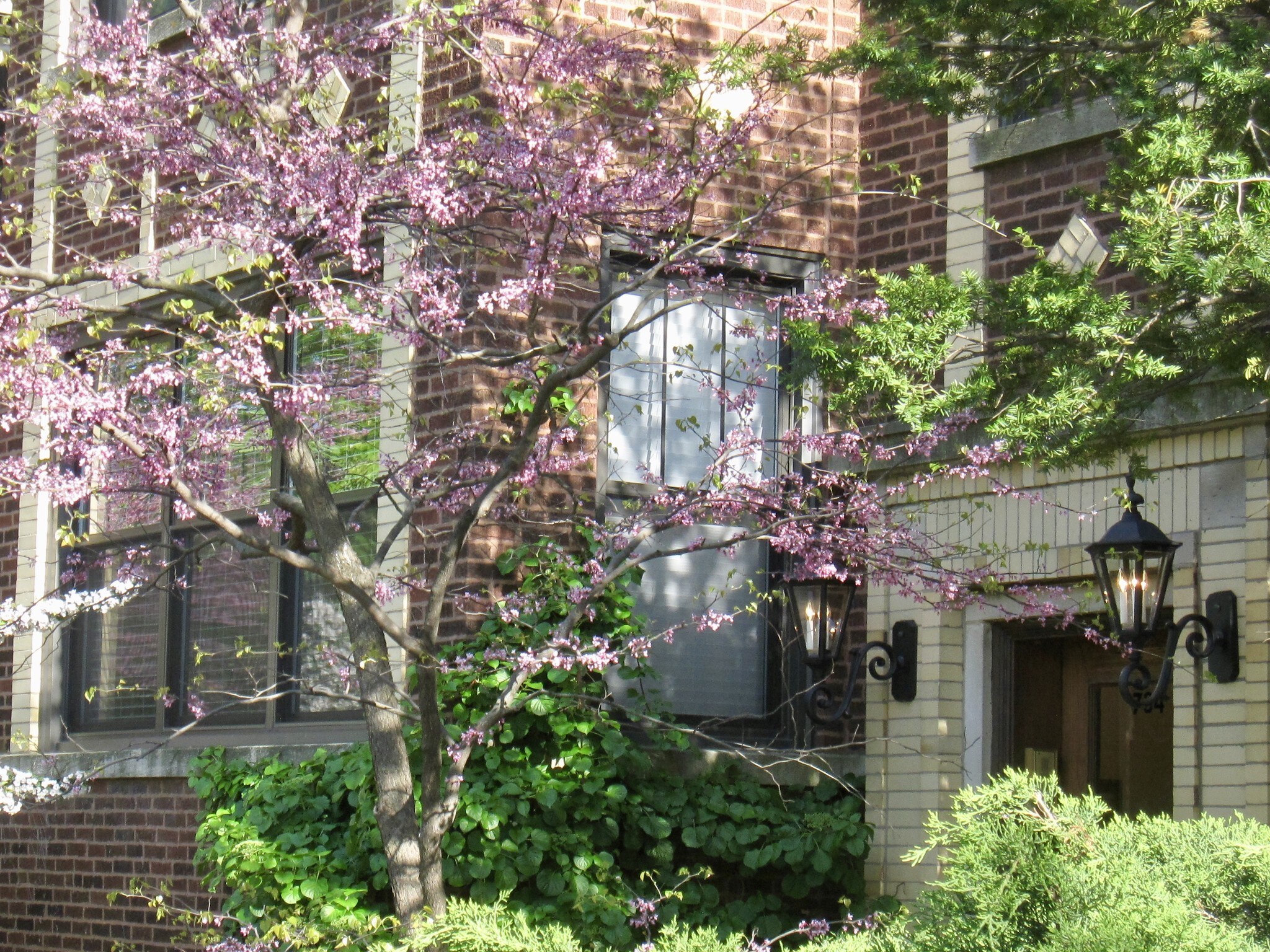 Building Photo - 734 Mulford St