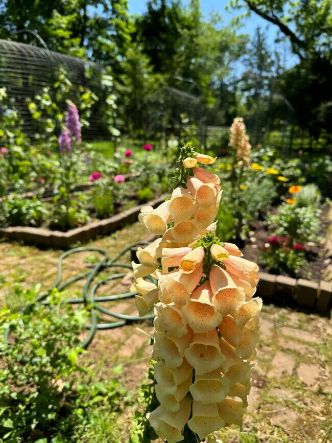 Building Photo - 1357 Canal Rd