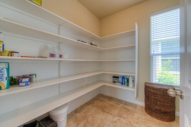Building Photo - 8520 White Ibis Dr