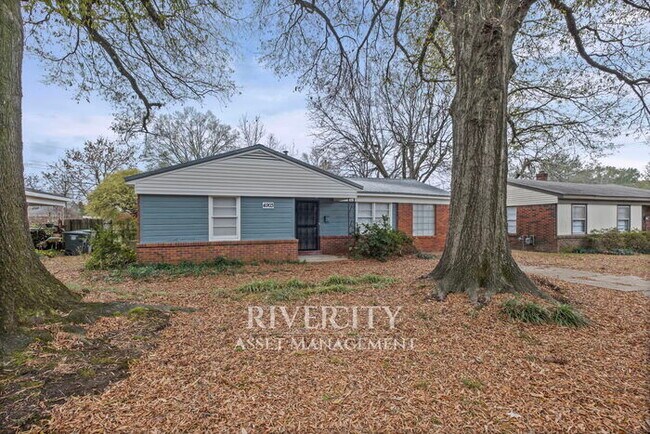 Primary Photo - DON'T MISS OUT ON THIS BERCLAIR BEAUTY!!!!!!! Section 8 Welcomed !!!!