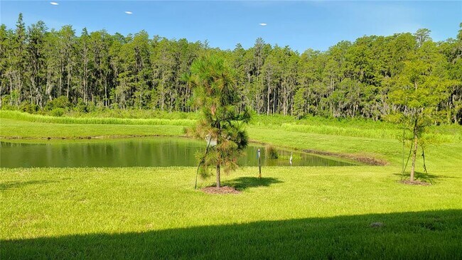 Building Photo - 32173 Turtle Grace Lp