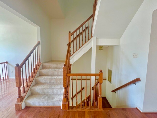 Building Photo - 21259 Owls Nest Cir