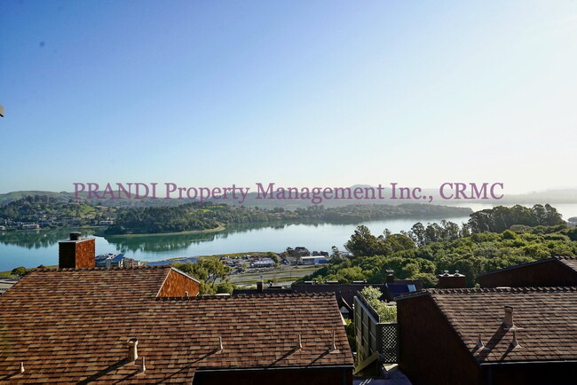 Building Photo - Top Floor Condo with World Class Views!