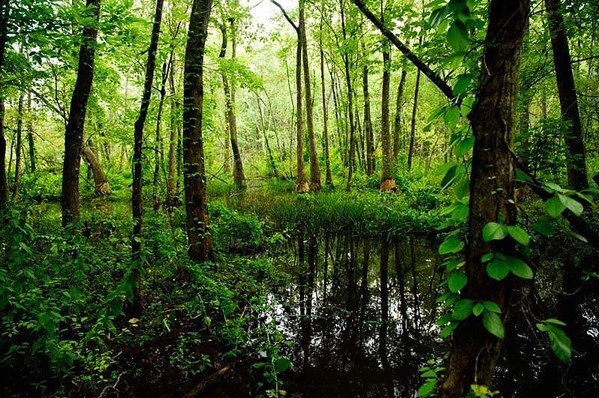 Building Photo - 120 The Heights Dr