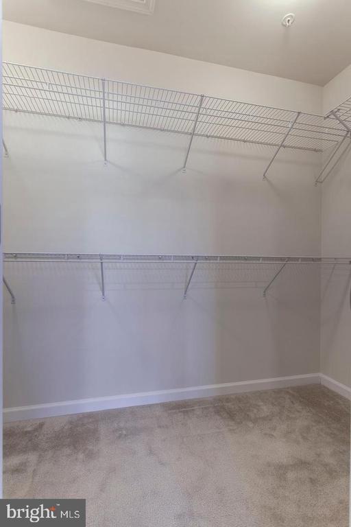 Building Photo - 2706 Amber Crest Rd