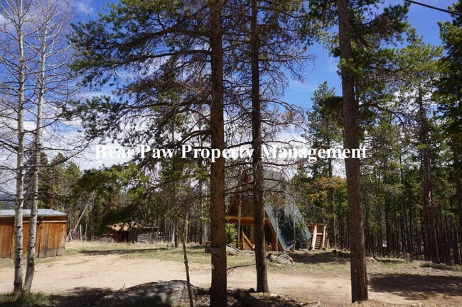 Building Photo - A Frame Home in Evergreen!!