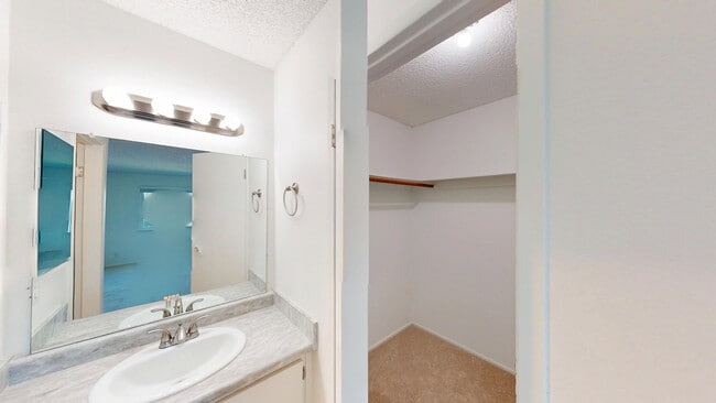 Building Photo - 461 Ignacio Blvd