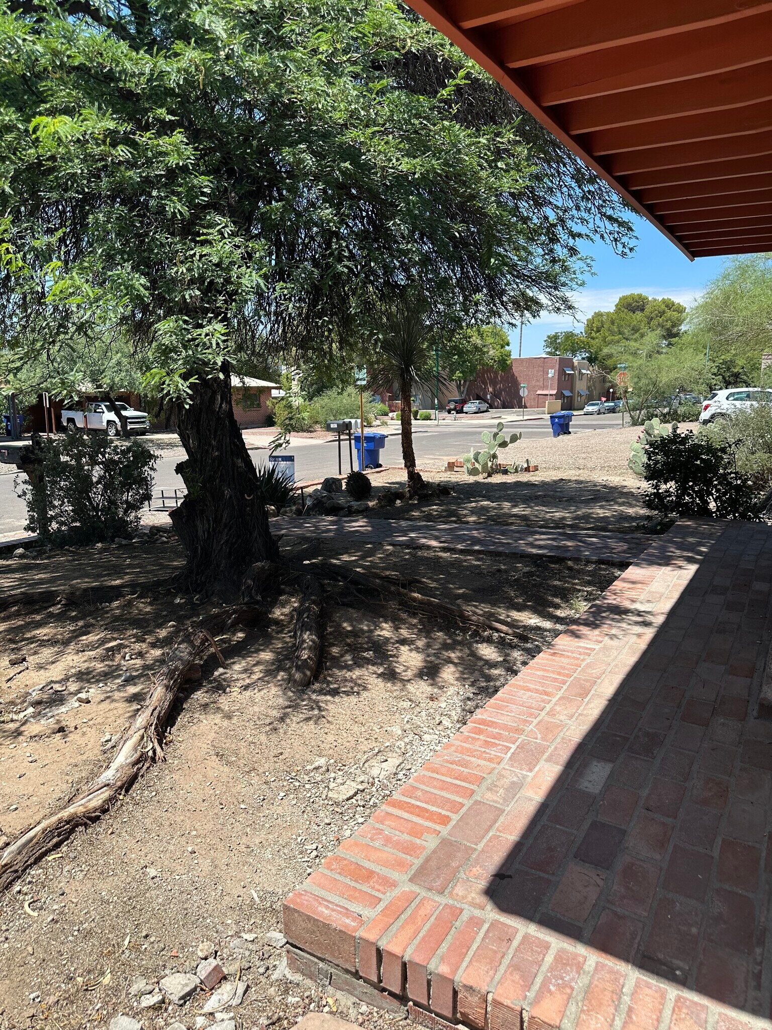 Front yard - 1315 E Adams St
