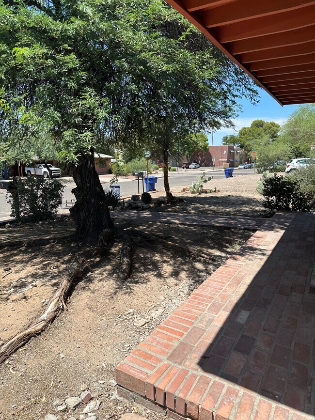 Front yard - 1315 E Adams St