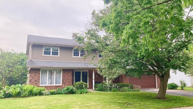 Primary Photo - 3257 Drew St