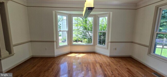 Building Photo - 1 Brattle Ct