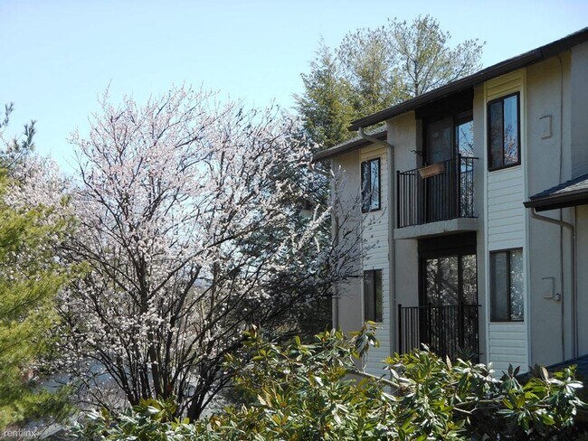 Primary Photo - 2 br, 1.5 bath House - 35 Spring Court