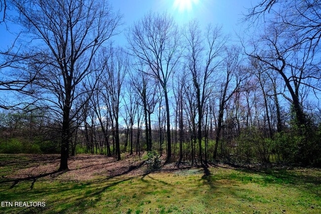 Building Photo - 548 Murray Rd NW