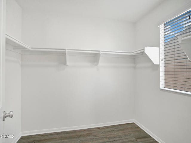 Building Photo - 2949 Palmera Ln