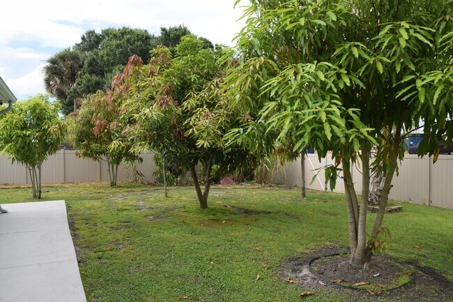 Building Photo - Gorgeous & Tropical 4 bedroom 3 Bath