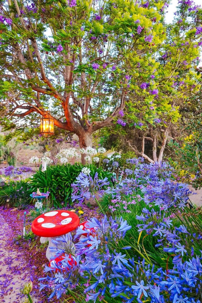 Building Photo - 30185 Vía Maria Elena