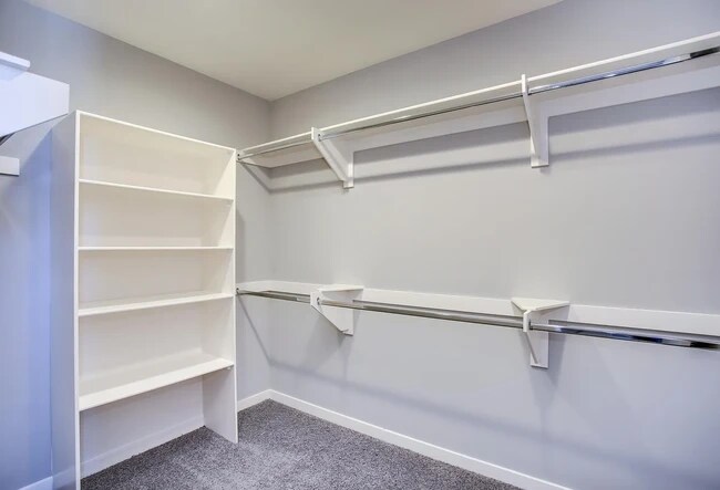 Building Photo - 1153 Solace Ct