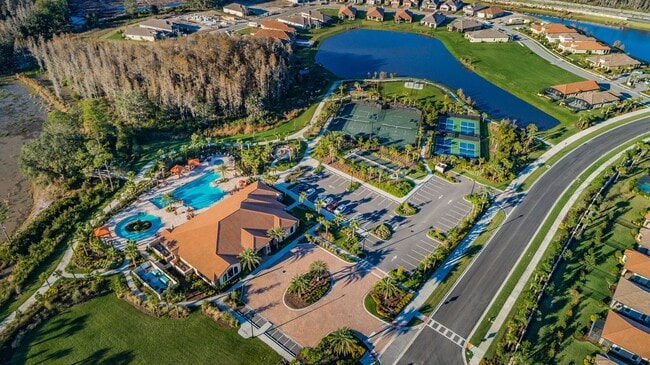 Building Photo - Beautiful Pool home in Starkey Ranch avail...
