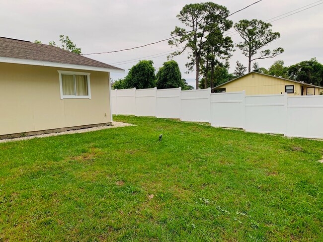 Backyard - 2710 Fern Palm Dr