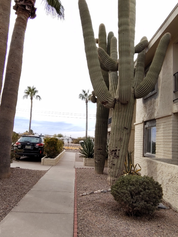 Building Photo - 15551 Sunland Gin Rd