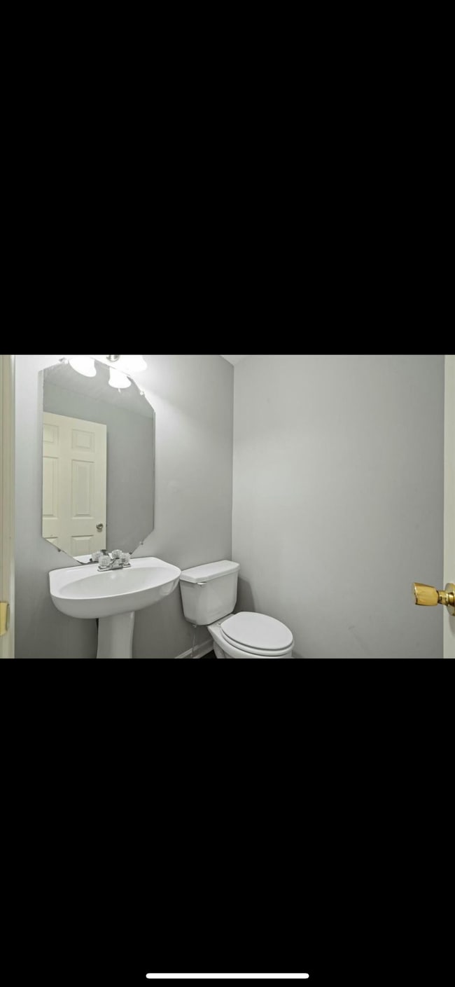 Building Photo - 531 Big Bear Ln