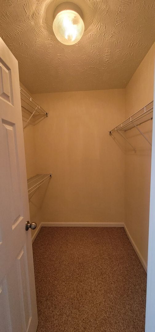 Building Photo - Beautiful 3 bedroom, 2.5 Bath home Minutes from Shopping & Easy Access to Highway for Travel.