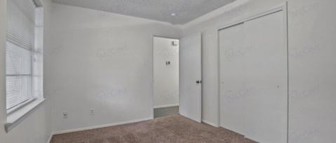 Building Photo - 2801 Diddley Cove