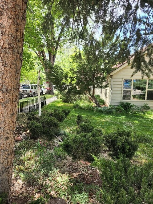 Building Photo - GLENWOOD SPRINGS DOWNTOWN 3 BEDROOM AND LO...