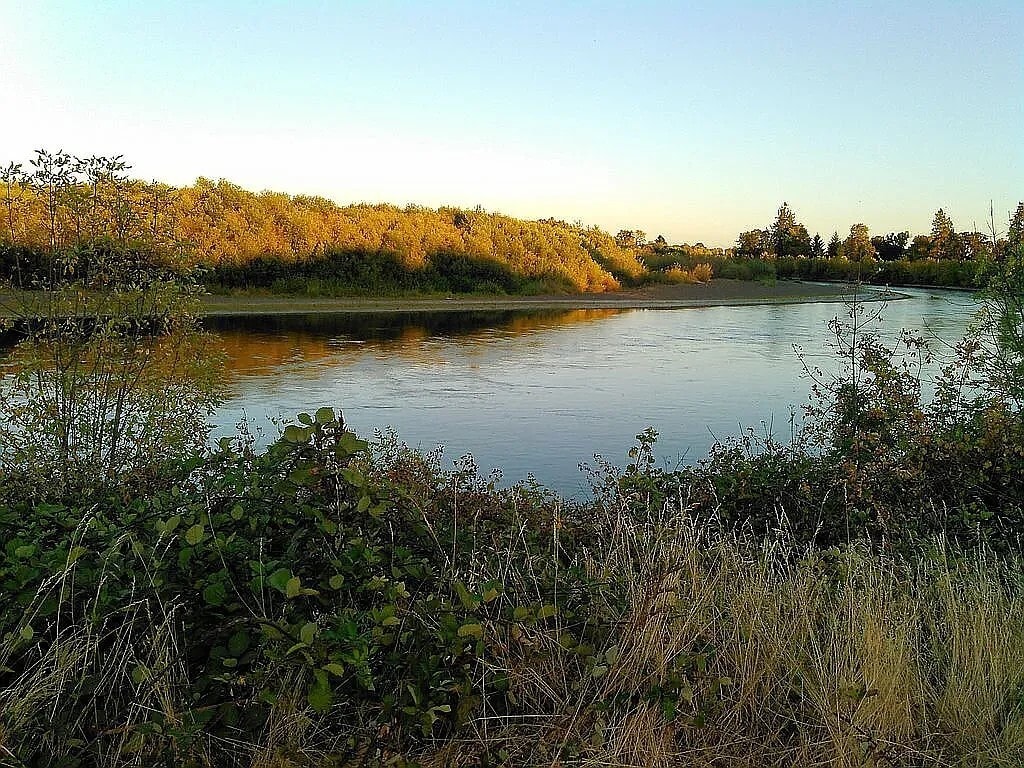 Building Photo - 3144 SE Sternwheeler Dr