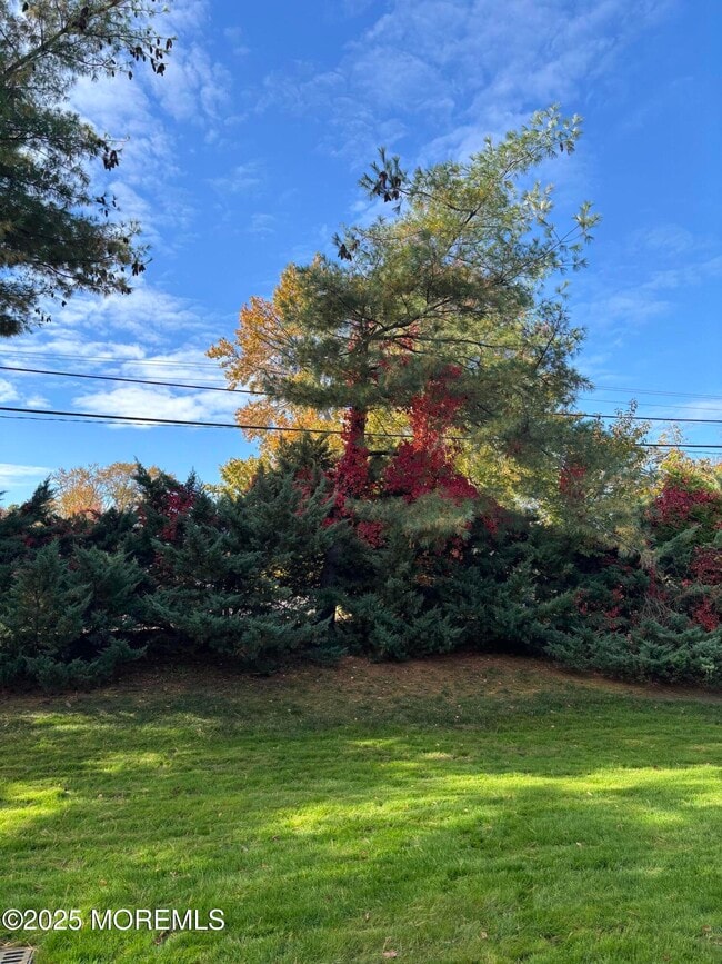 Building Photo - 159 Village Green Way