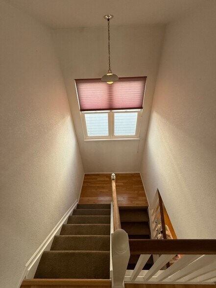 Building Photo - 8043 Clay Dr