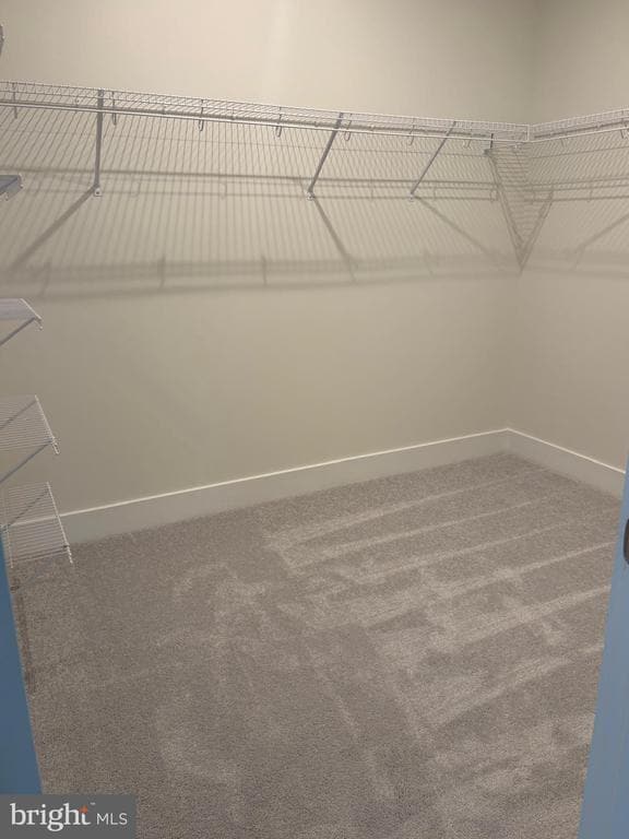 Building Photo - 133 Bamboo Shoot Ln