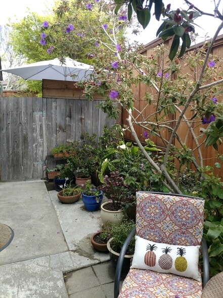 garden - 196 Alturas Way