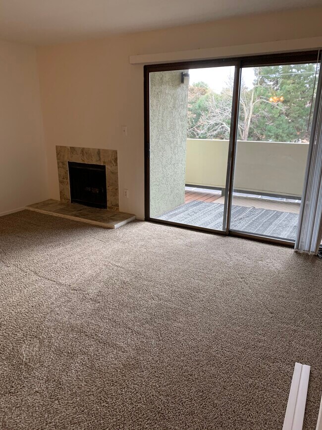 fireplace-glass doors - 2845 Idlewild Dr